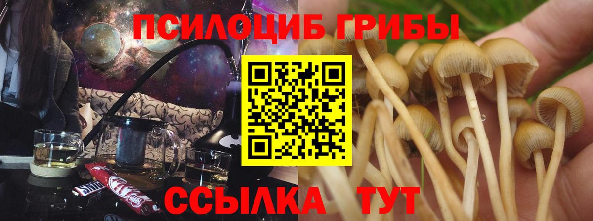 Галлюциногенные грибы мицелий Ангарск